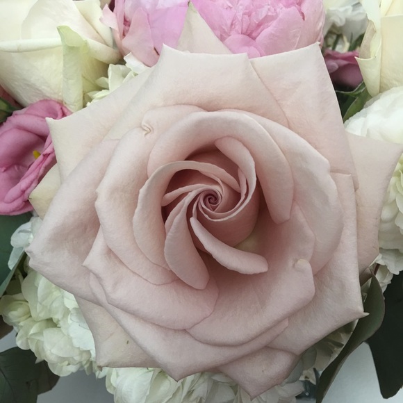 Meet your Posher, Lauren - Picture 1 of 1